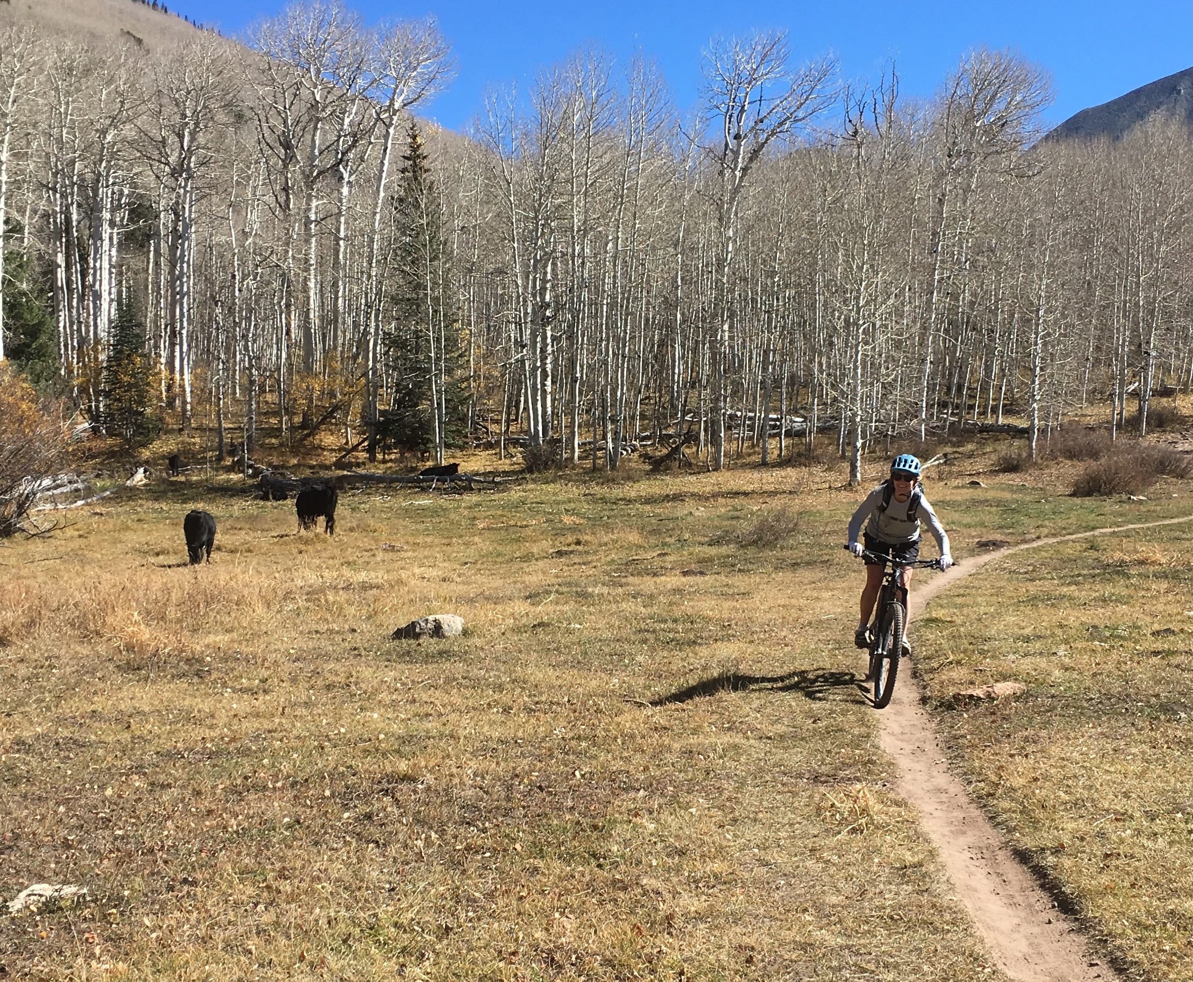 Mountain Biking